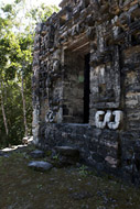 Mayan Temple V at Hormiguero - hormiguero mayan ruins,hormiguero mayan temple,mayan temple pictures,mayan ruins photos